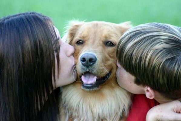 La gente besa a un perro y se infecta con gusanos.