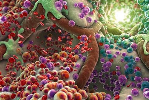 toxinas en el cuerpo en presencia de parásitos